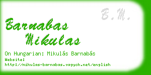 barnabas mikulas business card