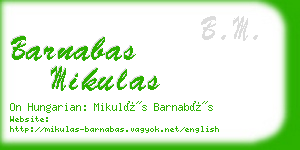 barnabas mikulas business card